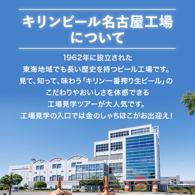 キリン 氷結 ZERO シチリア産レモン 350ml 1ケース (24本)　チューハイレモン