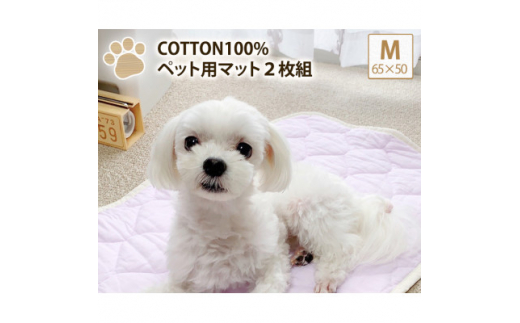 
＜M 65×50cm＞2枚組コットン100%ペット用マット　PET-6550-2P【1387473】
