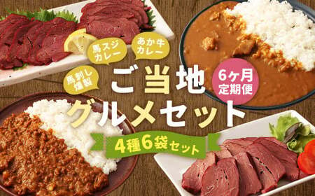 【6ヶ月定期便】ご当地グルメ! 馬刺し燻製2種と馬スジ・あか牛カレーのセット 4種 全6袋セット カレー ご当地カレー