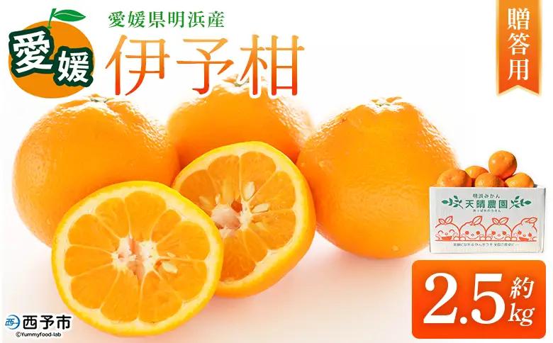 【先行予約】＜伊予柑 家庭用 約2.5kg＞ご家庭用 いよかん イヨカン みかん 蜜柑 柑橘 訳あり 果物 くだもの フルーツ ミカン 愛媛 国産 2.5キロ ジューシー 明浜 特産品 笑丸 愛媛県 西予市【常温】『2027年1月下旬より順次出荷予定』AAN0073