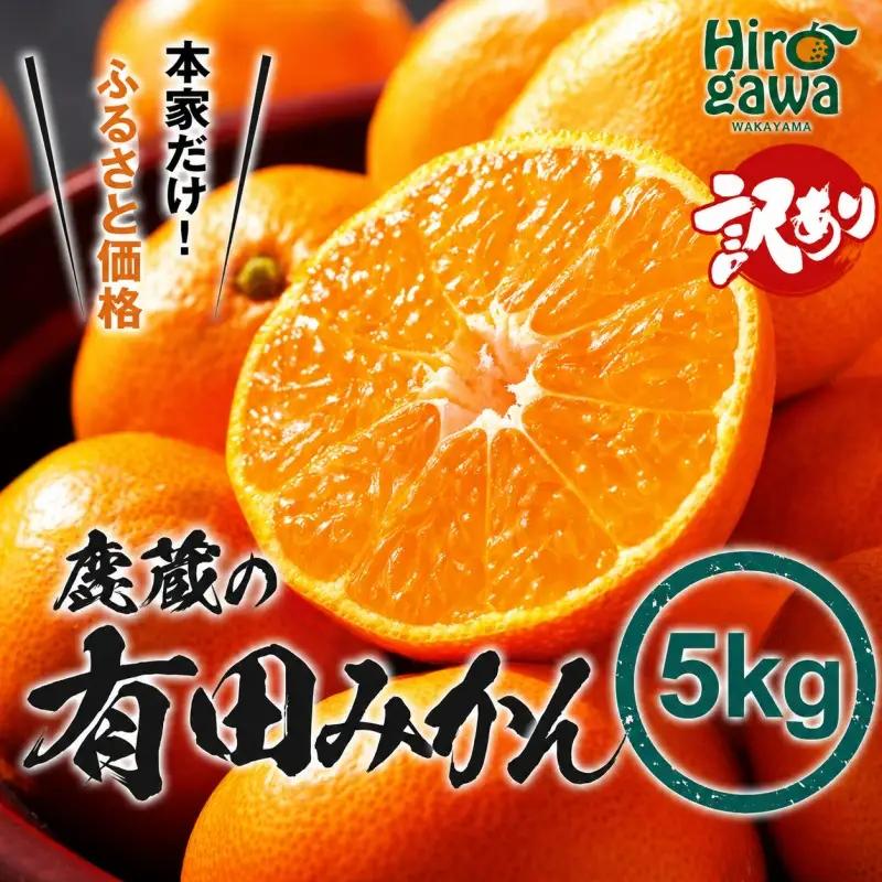 鹿蔵の 有田 みかん 訳あり 5kg 光センサー 選果 / 温州みかん 有田みかん 甘い 家庭用 和歌山 柑橘 ※2026年11月発送予定 ※北海道・沖縄・離島への配送不可 【ikd004-cm-5-novD】