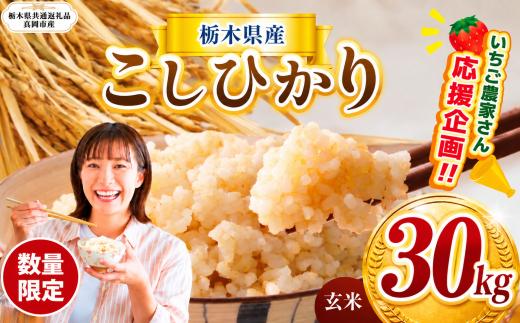 令和8年度産 新米 訳あり 定期便 数量 限定 こしひかり 玄米 約 30kg | とちぎの星 ミルキークイーン コシヒカリ 玄米 白米 ごはん おいしい  ふるさと納税 那珂川町 栃木県