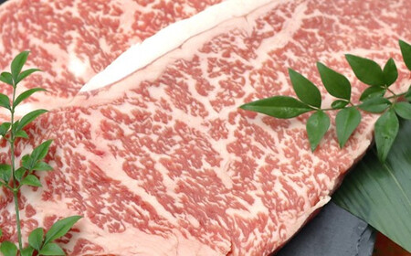[AS002] 【A4-5ランク】能登牛サーロインステーキ用（600g）