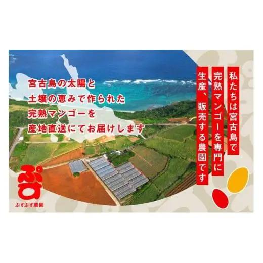 【ぷすぷす農園】＜2026年発送先行予約＞宮古島産完熟マンゴー1玉入り×2個セット（農園直送）（KY005）