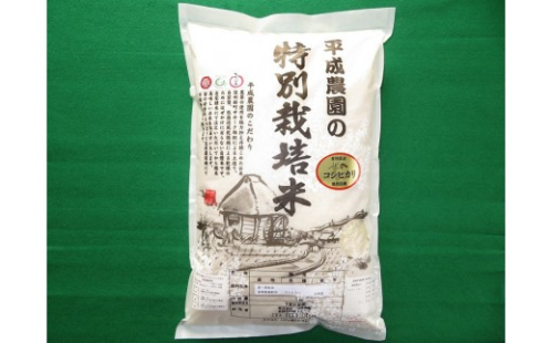平成農園　長野市産 コシヒカリ 5kg 特別栽培米 | 米 特別栽培米 コシヒカリ 5kg 人気 おすすめ 白米 精米 エコファーマー 長野県産 ブランド米 長野県 長野市 信州 信濃 ふるさと納税