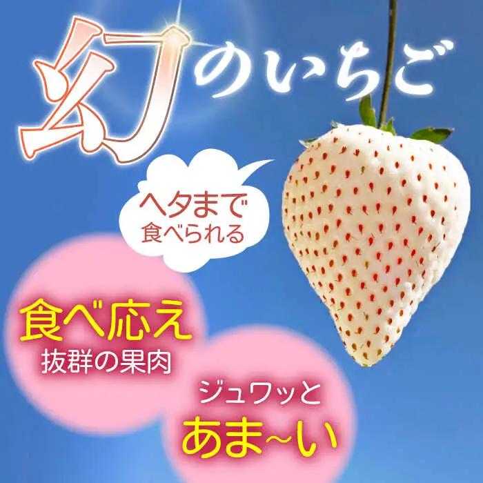 【2027年1月以降順次発送】白い宝石（贈答用）約450g / いちご / 佐賀県 / 手島農園 [41ABAB005]