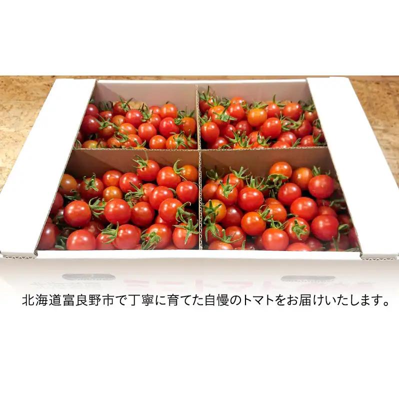 【2026年7月より発送】北海道 富良野市産 完熟ミニトマト（甘っこ）約3kg カラートマト付 トマト 甘い 野菜 新鮮 数量限定 先着順【藏ファーム】