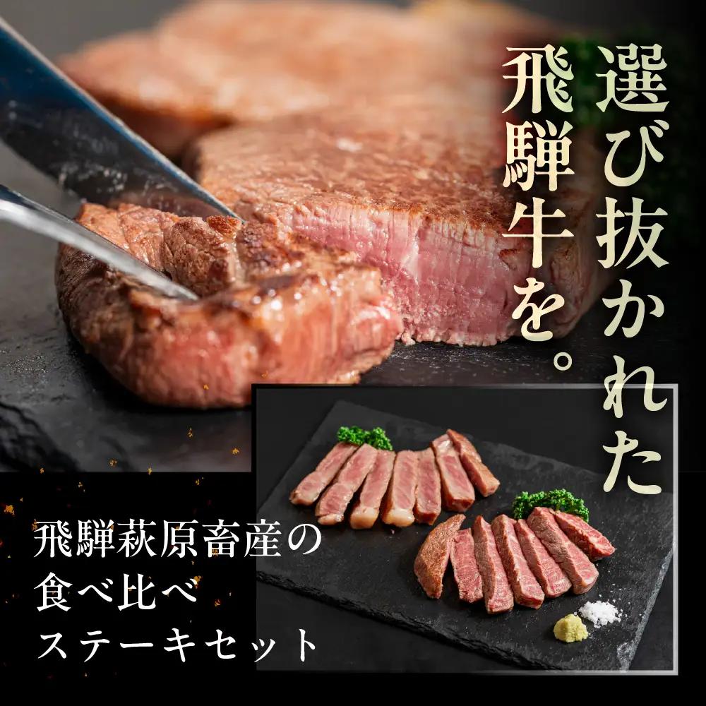 飛騨牛ステーキ 3種 食べ比べセット（各100g）計300g （サーロイン・ヒレ・赤身）【22-50】