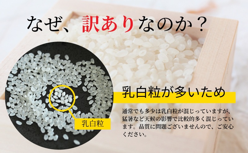 京丹波こしひかり 15kg 訳あり 《 数量限定 》 令和7年産 新米 京都 精米 白米 コシヒカリ ※北海道・沖縄・その他離島は配送不可