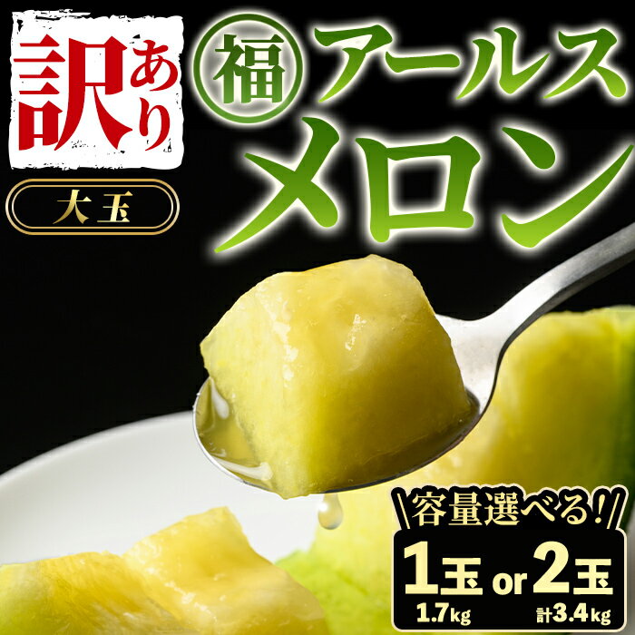 【ふるさと納税】＼高評価★4.8獲得！／《先行予約受付中！》＜容量が選べる！＞＜訳あり＞マル福の高級アールスメロン(大玉1玉・1.7kg/大玉2玉・計3.4kg) メロン フルーツ 果物 果実 旬 訳あり 訳アリ 数量限定 期間限定 【マル福園芸組合】【0111109a】【0211116a】