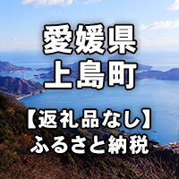 【ふるさと納税】愛媛県上島町への寄付（返礼品はありません）