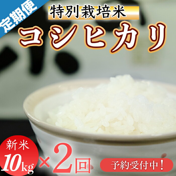 【ふるさと納税】令和7年新米予約！　(精白米)　特別栽培米　こしひかり10kg ×2回配送　(1回/月）