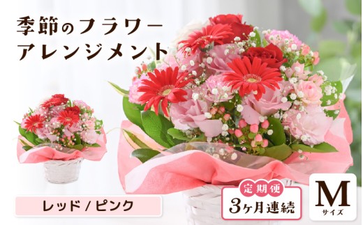 定期便 ≪3ヶ月連続お届け≫ 選べるカラー 季節のフラワーアレンジメント M (レッド・ピンク) 【お花 フラワー アレジメント 花束 ギフト 生花 プレゼント 花束 花 記念日 敬老の日 お祝い】 [C-20704_01]