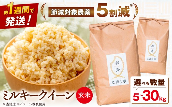
                  【スピード発送】【令和7年産】米 湖北産 ミルキークイーン 5kg・10kg・20kg・30kg 玄米 選べる容量 長浜市/エース物産 [AQAK009] 米 お米 ご飯 玄米 ミルキークイーン 近江米 滋賀県産 長浜市産 こめ 玄米 お米 食品 国産 炊きたて 米ギフト もちもち ブランド米 食卓 人気 ごはん ご飯 おにぎり 炊き込みご飯 おすすめ
                