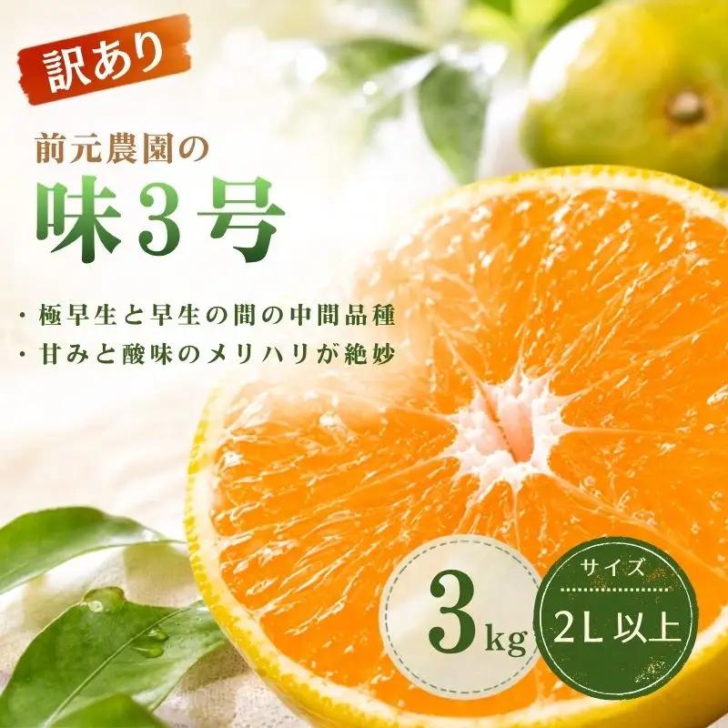 訳あり 前元農園の味3号 3kg 2L以上(大サイズ)【2026年10月下旬頃～順次発送予定】 /  フルーツ  みかん 蜜柑 三重県  高品質 みえ アルギット 訳あり【mmg043】