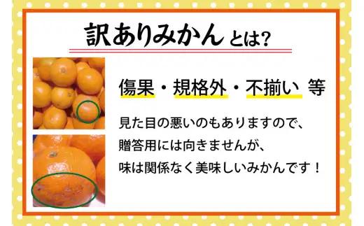 【訳あり みかん 10kg】  訳あり 有田みかん 約10kg【nuk138H】