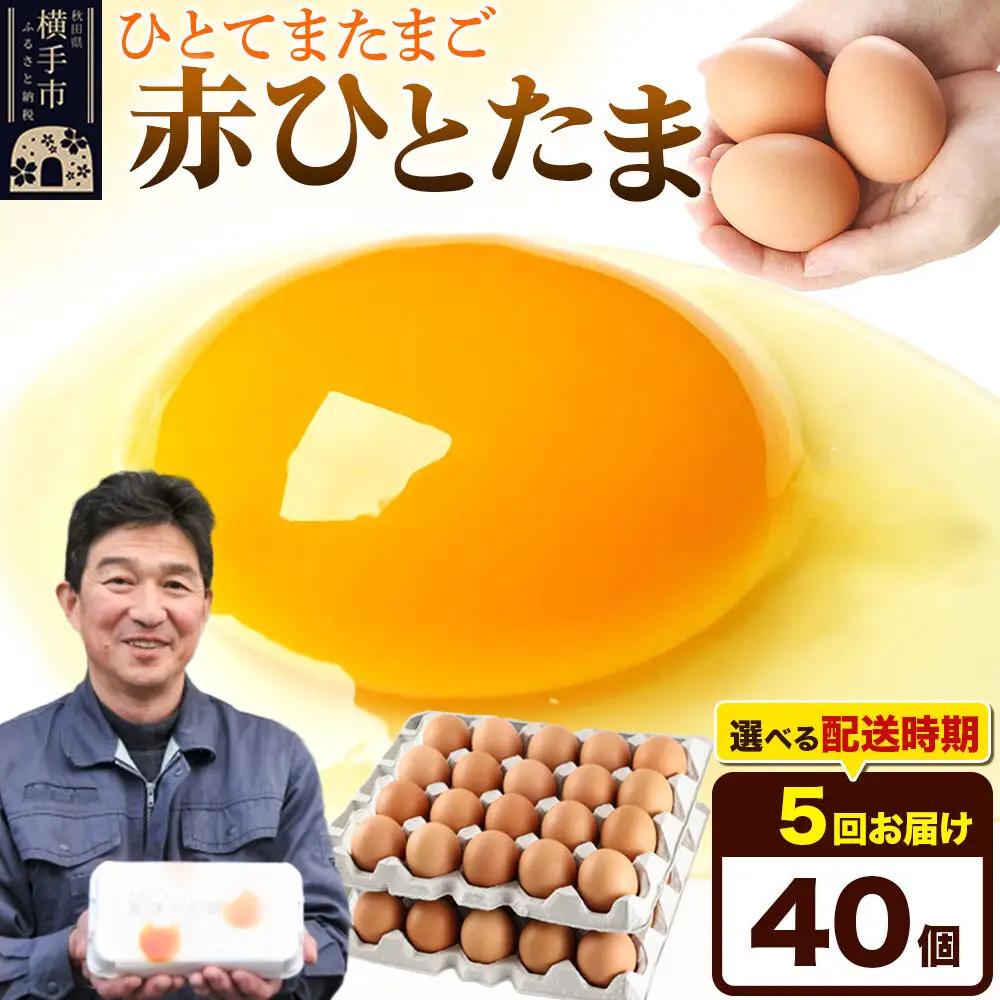 《定期便5ヶ月》赤ひとたま 40個（業務用）