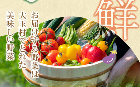 野菜 【6回定期便】野菜セット《先行予約》10種類前後 野菜 野菜 野菜