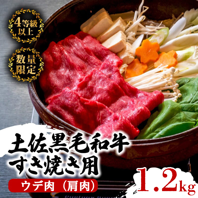 土佐 黒毛 和牛 すき焼き用 1.2kg （ 600g × 2パック ） | 特撰 ウデ肉 肩肉 最上位等級 A4 A5 最高ランク 贅沢 すきやき スキヤキ用 鍋 焼肉用 小分け 冷凍 国産 牛肉 高知県 須崎 TM011