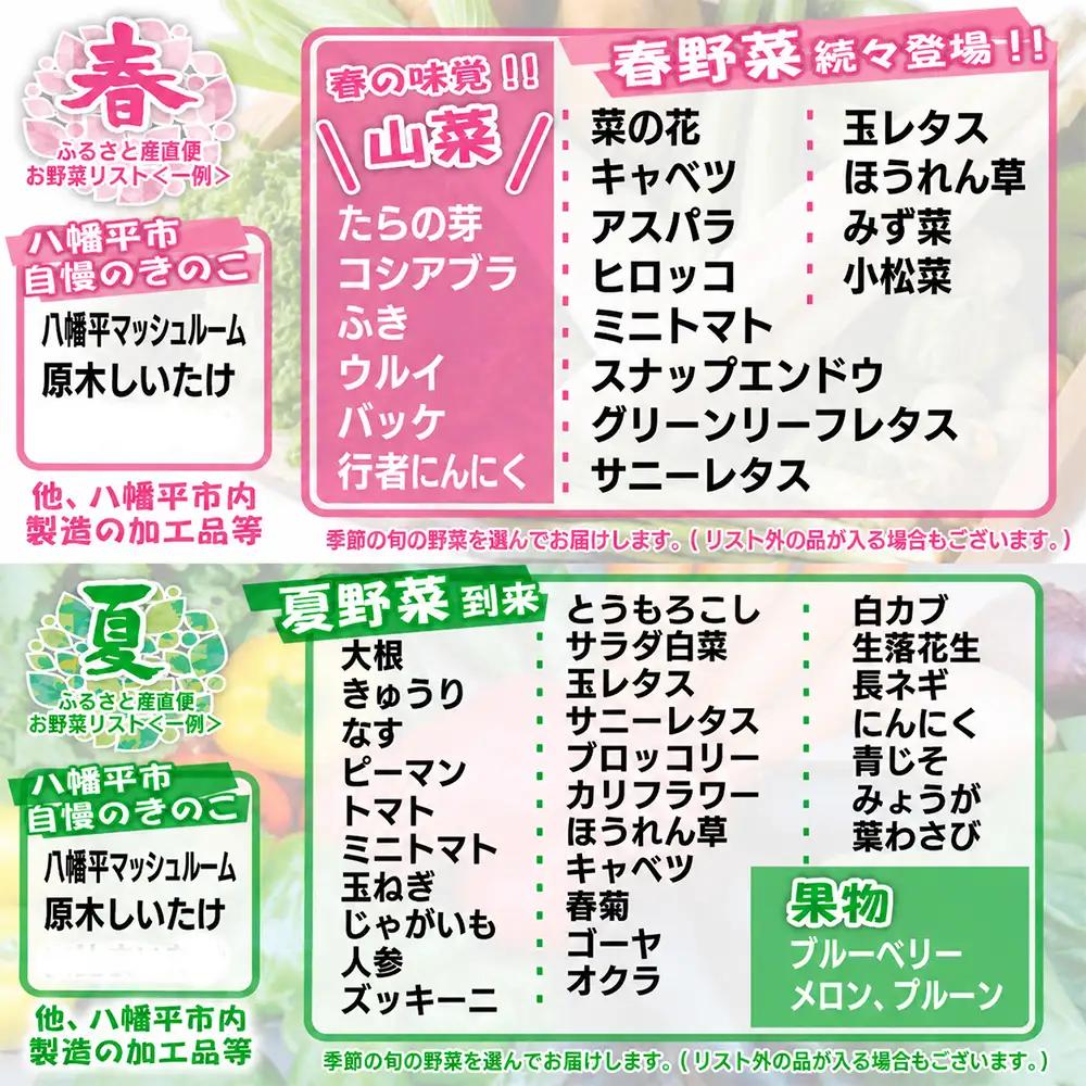 【新】八幡平のふるさと産直箱（大）【隔月／計3回】 ／ あすぴーて おまかせ 野菜 新鮮 野菜詰合せ 季節の野菜 旬の野菜 産地直送