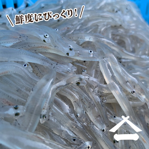 二色丼 生シラウオ沖漬け 釜揚げしらす セット 合計600g 【 シラウオ シラス 】