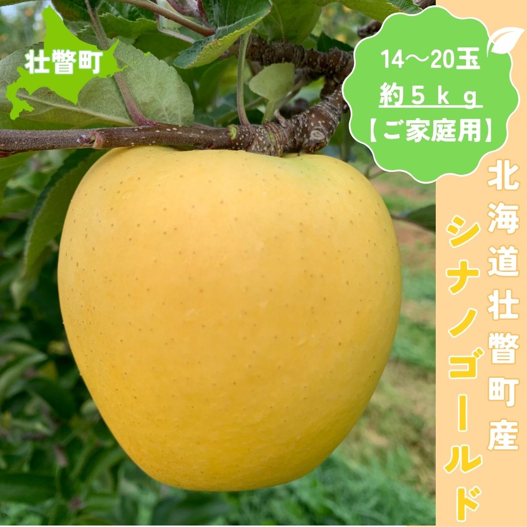【ふるさと納税】＜11月下旬頃よりお届け＞北海道壮瞥産りんご シナノゴールド 約5kg(14～20玉)【ご家庭用】 【 ふるさと納税 人気 おすすめ ランキング りんご リンゴ 林檎 シナノゴールド 甘い 果物 北海道 壮瞥町 送料無料】 SBTK017