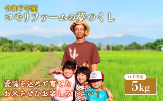 11月発送  コモリファームの夢つくし 5kg 令和7年産 夢つくし コモリファーム 11月 精米 お米 白米 ブランド 米 数量限定 限定 国産 福岡県産米 福岡県産 長期保存 備蓄 備蓄米 防災 ご飯 飯 コメ 朝食 夕ご飯 福岡 川崎町