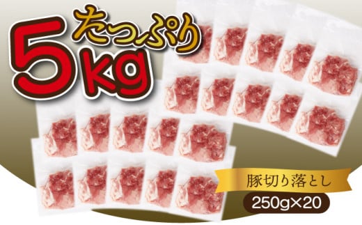＜2025年11月発送分＞宮崎県産 豚肉切り落とし 250g×20パック 合計5kg