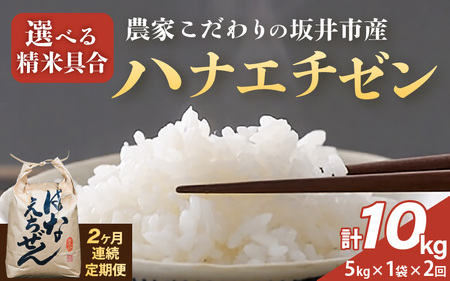 【令和7年産】定期便 ≪2ヶ月連続お届け≫ 坂井市産 ハナエチゼン 5kg × 2回 (計10kg) 【玄米】 米 コメ お米 華越前 [C-10204_02]