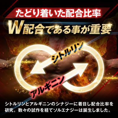 ふるさと納税 養老町 【毎月定期便】シトルリンサプリアルギニン亜鉛マカ配合Mr.GINOソルエナジー30日180粒全4回 |  | 02