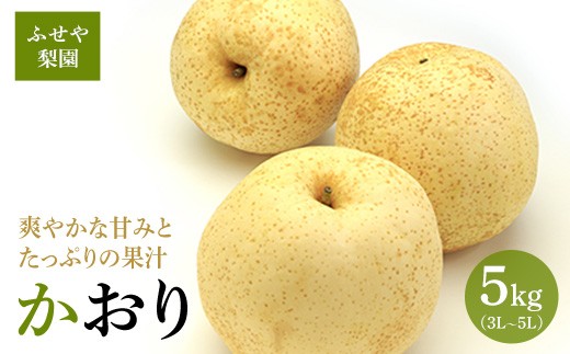 
                  かおり 5kg 【ふせや梨園】| 農家直送 梨 ナシ 果物 フルーツ 宇都宮市 栃木県 ※2026年8月～発送
                