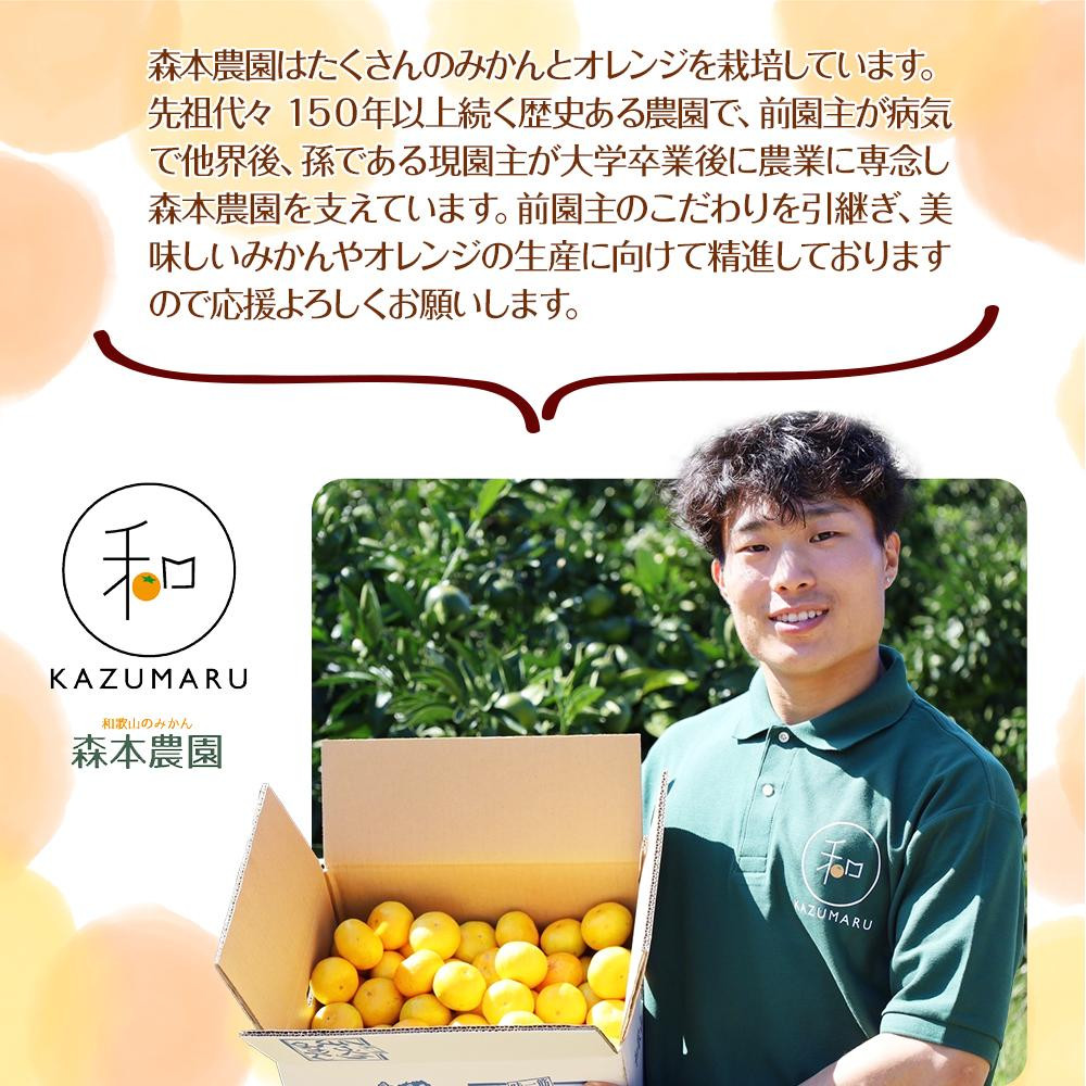 訳あり みかん 6kg 和歌山県産 2S~2Lサイズ混合 ［RN9］［2025年11月上旬から順次発送］DJ90009_イメージ4