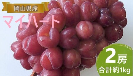 ぶどう 【2026年 早期受付】 マイハート 2房 合計約1kg  岡山県産 ぶどう