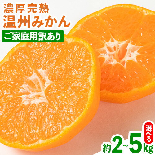 【ふるさと納税】【先行予約】【ご家庭用訳アリ】 紀州有田産 濃厚完熟温州みかん 選べる内容量 約2kg 約5kg 魚鶴商店《2025年11月下旬-2026年2月上旬頃出荷》 和歌山県 日高川町 みかん 温州みかん 完熟 濃厚 柑橘 ご家庭用
