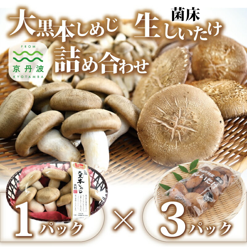 【ふるさと納税】大黒本しめじ 生しいたけ 詰め合わせ （ 国産 京都 きのこ キノコ 大判 丹波 しめじ 本シメジ 食感 シャキシャキ 旨味たっぷり 菌床 シイタケ 椎茸 天ぷら 鍋 炒め物 ） 新生活応援 ※北海道・沖縄・その他離島への配送不可