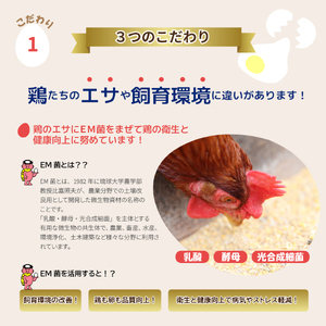 かっぱの健卵 20個入り【大熊養鶏場】たまご 卵 玉子 タマゴ 生卵 こだわり 卵かけご飯 TKG 国産 お取り寄せ 北海道 比布町 ぴっぷ 1006-002