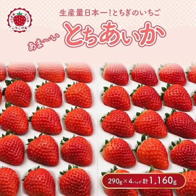 【先行予約】【数量限定】とちあいか 290g×4パック ｜ ※2026年11月～発送