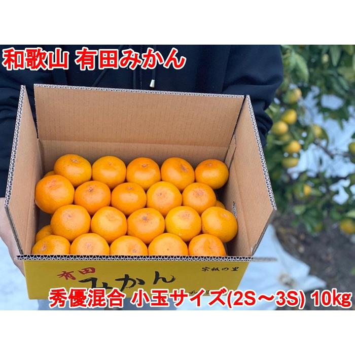 【ふるさと納税】［小玉サイズ(3S・2S）・秀／優混合］早生みかん≪10kg≫和歌山有田産！［予約販売］［数量限定］まる隆果樹園