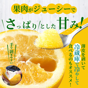 S040-023A_農家の手摘みあまくさ木成り晩柑 　約9kg