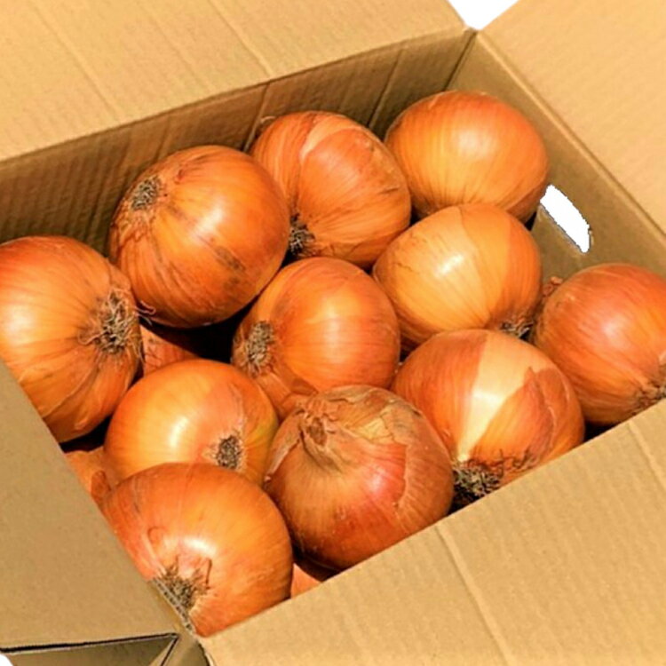 【ふるさと納税】 野菜 玉ねぎ うまか 吊り 玉葱 約8kg 【期間限定発送】 [しげさん農園 長崎県 平戸市 hr42bgy420281] やさい タマネギ たまねぎ オニオン Lサイズ 2Lサイズ 赤土 甘い 新鮮 直送 料理 カレー