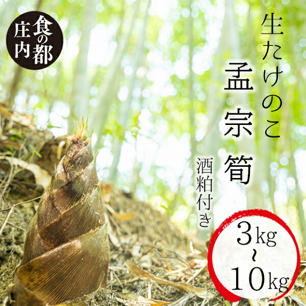 【ふるさと納税】★先行予約★【令和8年産】食の都庄内　生たけのこ「孟宗筍」3kg・5kg・10kg酒粕付き※4月下旬～5月下旬発送予定（やまがた庄内産直出前便実行委員会）
