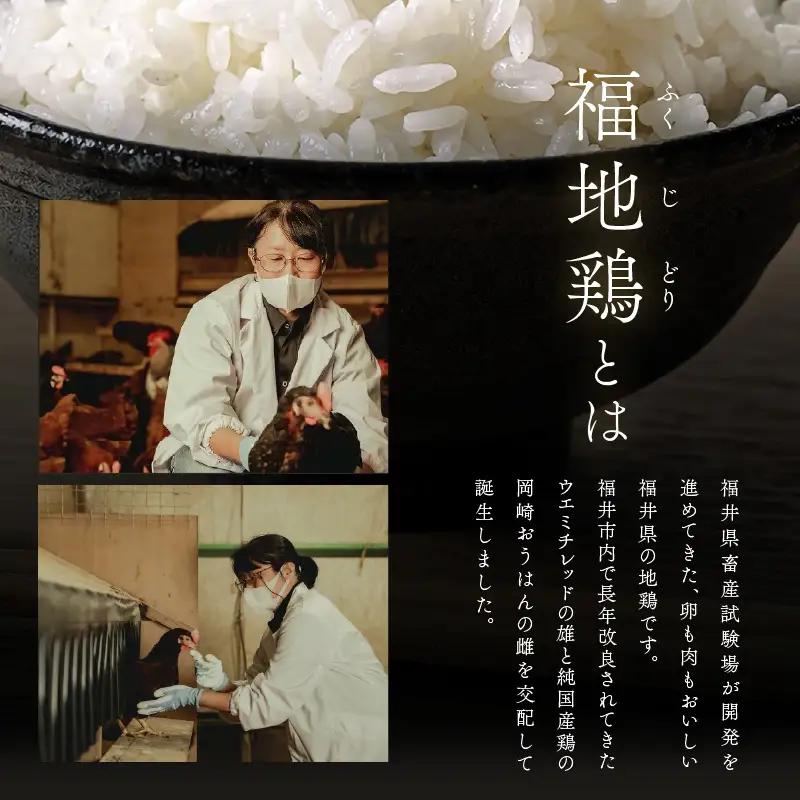 【6ヶ月連続お届け】 福井ブランド 「福地鶏」 の卵 20個 濃厚で甘くておいしい！  定期便 ／ 卵 たまご 鶏卵 生卵 有精卵 高級 高級卵 福地鶏 鶏 平飼い 美味しい こだわり 6ヶ月 定期便