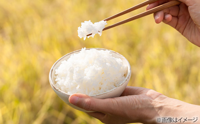 【全3回定期便】とくべつの中のとくべつ 特別栽培米 3kg 夢つくし 吉富町/(株)やました [BGBX002] 白米 精米 米