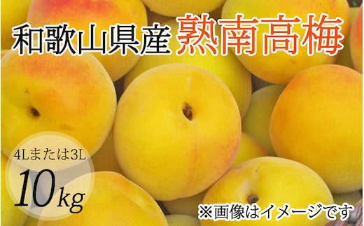 
										
										【梅干・梅酒用】（4Lまたは3L－10kg）熟南高梅＜2025年6月上旬～7月上旬ごろに順次発送予定＞ フルーツ 果物 くだもの 食品 人気 おすすめ 送料無料【art007A】
									