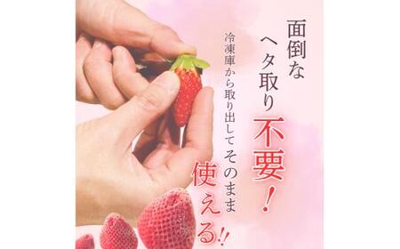 いちご 冷凍 古都華 約1.5kg [250g×6パック] 【2026年5月上旬～6月下旬に順次発送】葛城市【smlk031】