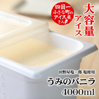 ふるさと納税 田野町 【四国一小さなまちのアイス屋さん】≪松崎冷菓≫大容量アイス4000ml ★うみのバニラ★