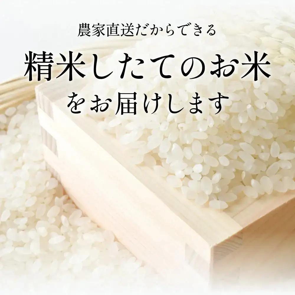 新米予約〈スピード出荷〉減農薬 特A 丹波篠山産 特別栽培米 こしひかり 20kg 精米 小分け