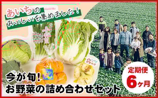 【6ヶ月定期便】今が旬！お野菜の詰め合わせセット ／ 新鮮 季節の野菜 おまかせ たっぷり 愛知県 特産品 No.216