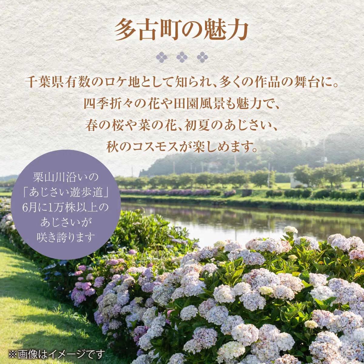 「ますがたや旅館」1泊2食付ペア宿泊券 成田空港からほど近い家庭的な雰囲気の隠れ宿_旅行券・チケット 宿泊券 【配送不可地域：離島・沖縄県】 TAKR001
