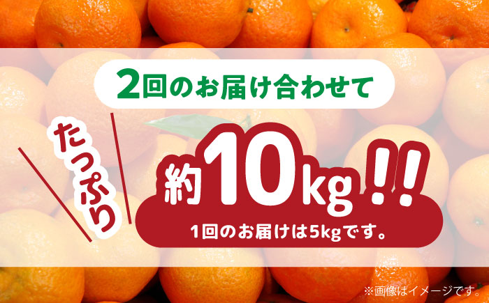 【2024年12月〜発送】【大満足！ 2回 定期便 】温州みかん 約5kg / みかん 南島原市 / 南島原果物屋 [SCV017]